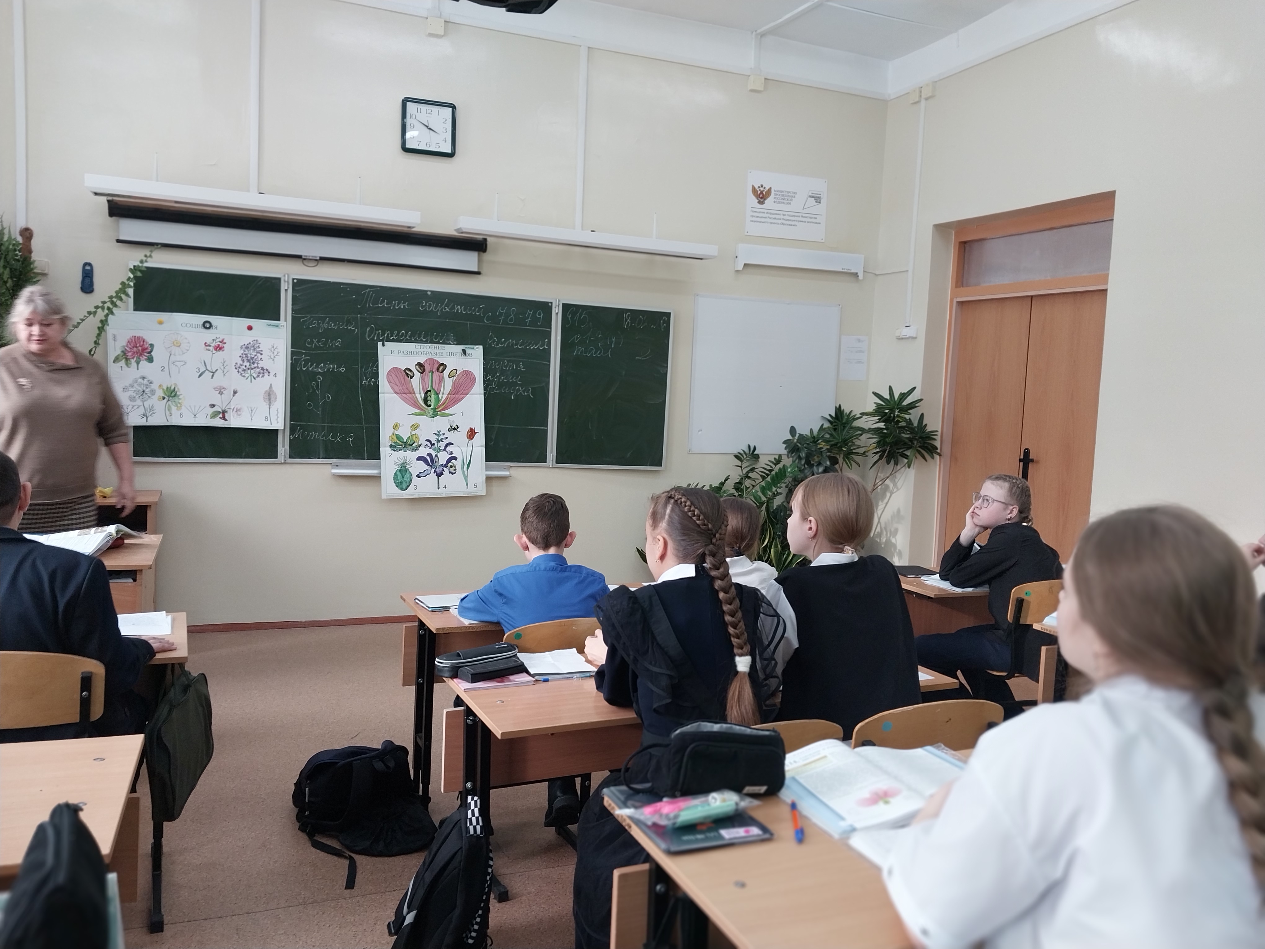 «Изучение строения цветка».